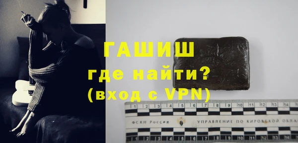 гидра Инта
