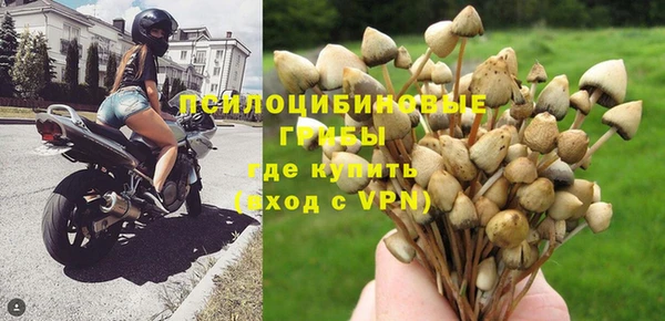 дмт Зеленокумск