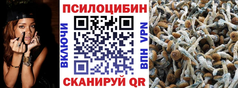 Псилоцибиновые грибы прущие грибы  Мыски 