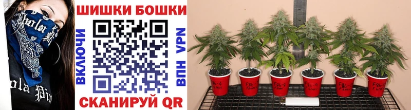 Каннабис Bruce Banner  Мыски 